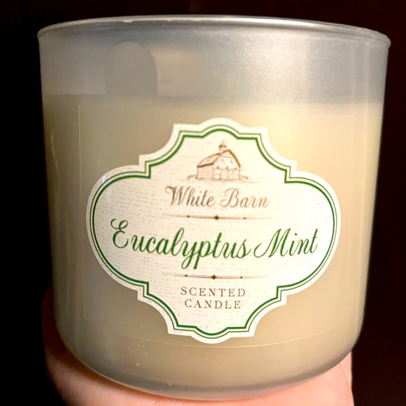 White Barn Accents White Barn 3 Wick Candle Eucalyptus Mint Poshmark